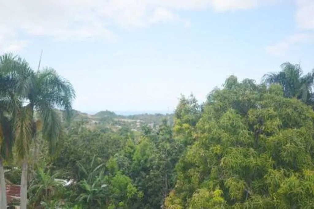 Au Milieu De La Nature Au Calme Las Terrenas Apartment